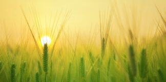 Czego potrzebuje każdy człowiek?