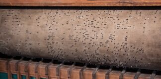 Czy grające zabawki są szkodliwe?