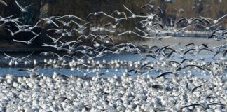 Czy zakup działki to dobra inwestycja?