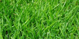 Gdzie będzie Fest Festival 2023?