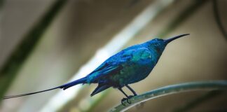 Ile się płaci za wystawienie faktury?