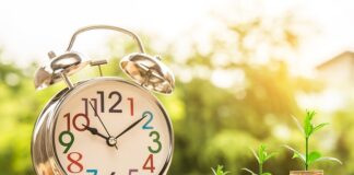 Czym zajmuje się zarządzanie?