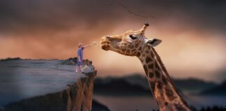 Czy można żyć ze złamanym kręgosłupem?