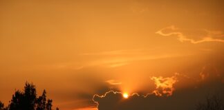 Jakie są metodyki zarządzania projektami?