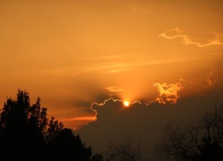 Jakie są metodyki zarządzania projektami?