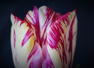 Jak można zapobiec wypadkom?