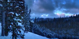 Po jakim czasie od licencjatu można magistra?