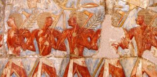 Jakie ulgi w ZUS dla rozpoczynających działalność?