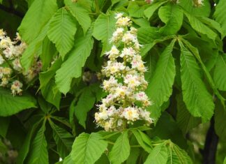 Co zdawać na maturze?