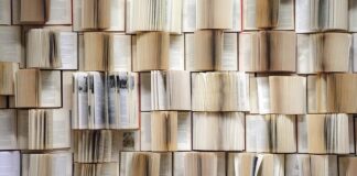 Co to są wiersze w tabeli?