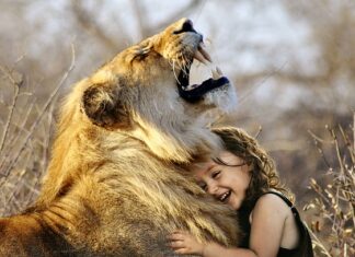 Jaka jest najlepsza bazą danych?