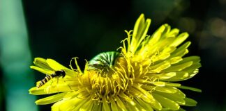 Czy najem krótkoterminowy trzeba zgłosić?