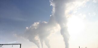 W jakich branżach jest najwięcej wypadków przy pracy?