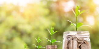 Jaki biznes w młodym wieku?