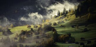 Czy domy dziecka przyjmują zabawki?