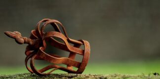 Do czego uprawnia status UKR?