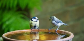 Co innego mówi a co innego robi?