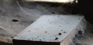 Jak może układać się współpraca?