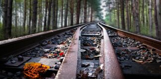 Czy w Internecie wszystko wolno?