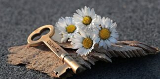 Jak otworzyć firmę jednoosobową?