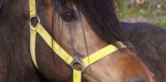 Jaki kantor walutowy wybrać?