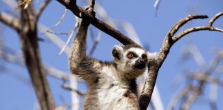 Jak rozmawiać z nastolatkiem o złym zachowaniu?