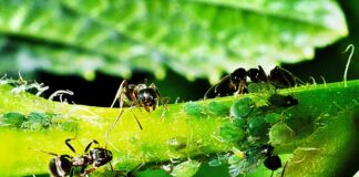 Jak nawiązać współpracę z klientem?