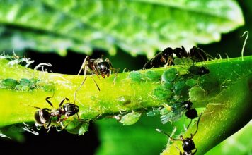 Jak nawiązać współpracę z klientem?