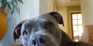 Ile płacą za 1% uszczerbku na zdrowiu?