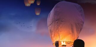 Jaka nerka na festiwal?