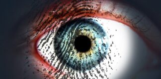 Jakie są zagrożenia w Internecie?