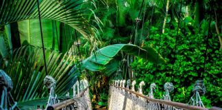 Z którego dnia kurs euro?