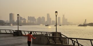 Czy można świadczyć usługi za darmo?