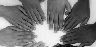 Jak nauczyć 2 latka dzielenia się zabawkami?